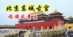 骚爆视频黄片中国北京-东城古宫旅游风景区